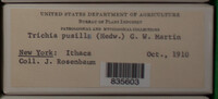 Image Associated With the Occurence